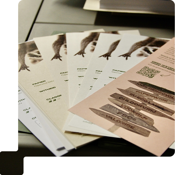 Ricoh Auto Color Adjustor - Printvisie