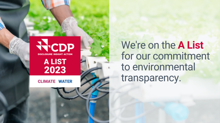 Ricoh recognised with double ‘A’ score for climate action and water security leadership in CDP A List